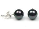 7-8mm sterling round black fresh water pearl stud earrings for sale, AA+