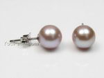 7.5-8mm lavender round freshwater pearl silver earrings studs wholesale, AA