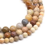 Fossil coral, 4mm round, natural gemstone beads wholesale