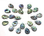 Abalone paua shell, 12x16mm teardrop top drilled shell beads on sale