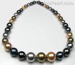 8-16mm gradual sizing round multicolor shell pearl for sale
