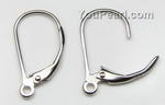 Euro wire, lever-back ear hooks with loop wholesale online, Gauge 21