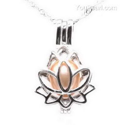 5X Oyster Pearl Beads Cage 3D Lotus Flower Locket Pendant For Wish Necklace Gift