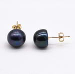 10-11mm black freshwater 14K gold filled pearl earring studs wholesale