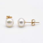 7-8mm white fresh water pearl 14K gold filled stud earrings on sale