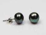 7-8mm black freshwater pearl silver earring studs whole sale