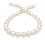 11.5-12.5mm white freshwater large hole pearl near round strand for sale