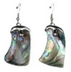 Paua abalone free form shell earrings on sale, 20x35mm