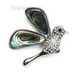 Paua/Abalone shell bird brooch on sale
